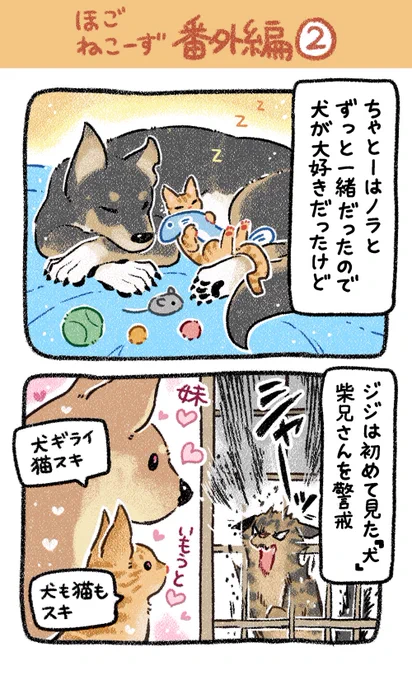 ほごねこーず番外編【第2話】 感動の再会を期待した人は正直に挙手したまえ #漫画が読めるハッシュタグ #猫