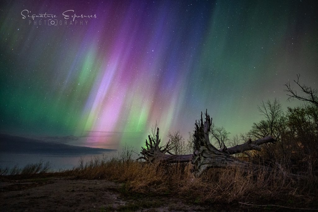 So many to go through, but I still can't get over all the colours in last night's kp8 #aurora event! 
@PennerCory and I were discussing why it seemed so muted, almost looked like it was a full moon washout...but maybe it was Lake #Manitoba moisture!?! Regardless,  great show! 😍