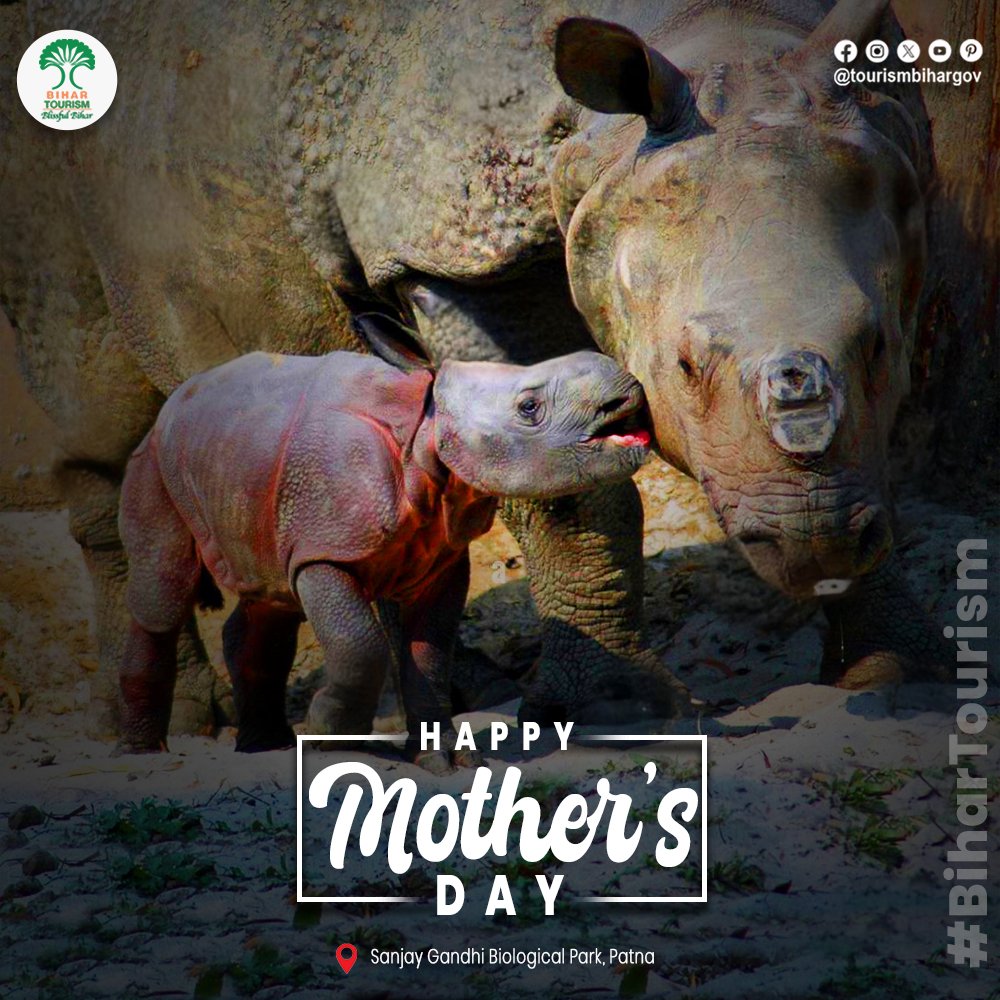 Happy Mother's Day! Today, we celebrate the extraordinary love, strength, and sacrifices of mothers around the world.
.
.
#mothersday #happymothersday  #Bihar #bihartourism #BlissfulBihar #explorebihar
#incredibleindia 
.
@incredibleindia @biharfoundation @AbhaySinghIAS…