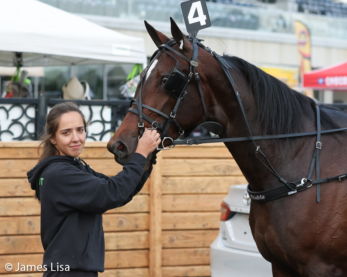 French Champagne wins the 1st Leg of the 3yo Fillies NJ Sire Stakes @themeadowlands @JessicaOtten1 @DaveLittleBigM #harnessracing #PlayBigM @StableSvanstedt