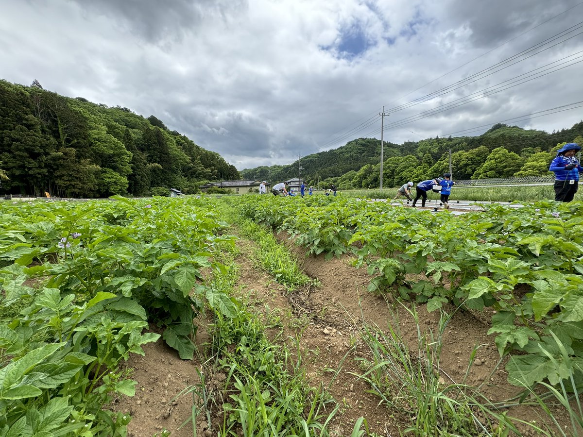 リーグイチ、野菜が作れるサポーター

#GRASSROOTSFARM 
#水戸ホーリーホック