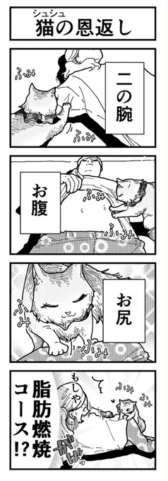 4コマ漫画 『アルくんとシュシュちゃん』 最新話が更新されましたー!  【1話〜16話全て無料】  ペットマガジン『アルシュ』様 にて連載中でござる  今回は、猫ちゃんの回です 猫好きさん必見! #ふみふみ #4コマ #ねこのいる暮らし