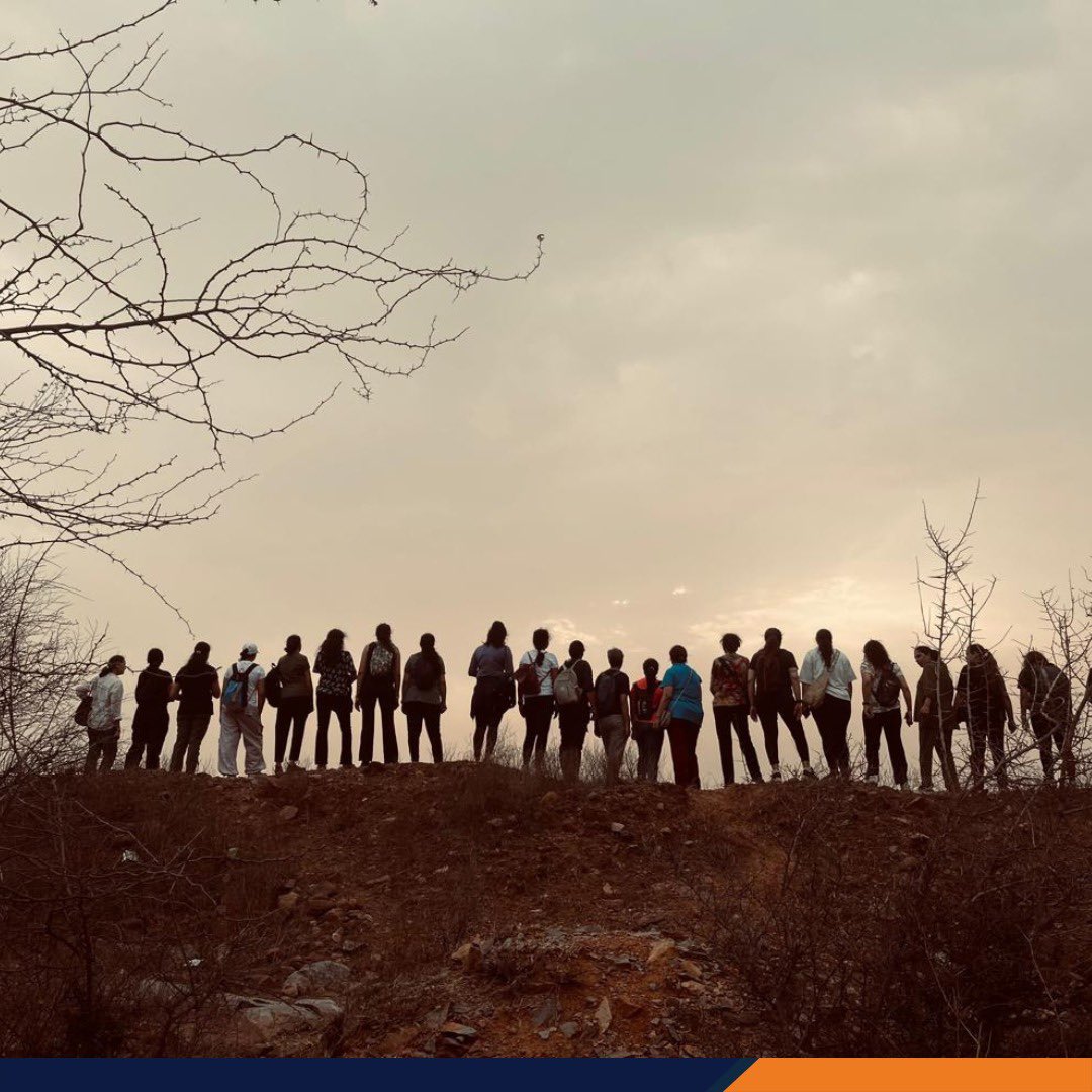 A delightful encounter with nature's wonders on a hike - sounds of rustling leaves, distant birdcalls, beautiful mosaic of wildflowers and fresh mountain air! #NatureExplorer #leopardtrailaravalihills