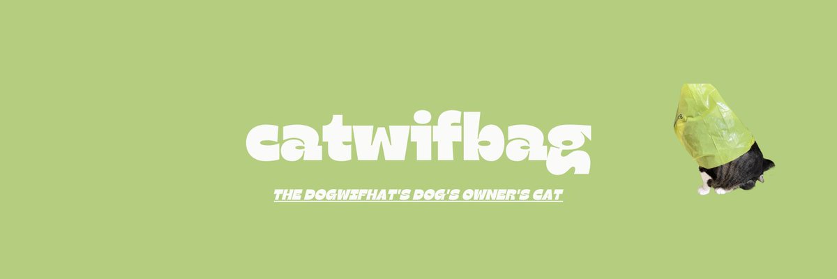 What is $BAG? 

catwifbag is a meme originally posted on Instagram by Ma Babezz, the same person who originally posted the dogwifhat meme, she is the owner of the dogwifhat dog and catwifbag cat.  

catwifbag is the IRL sibling of the $WIF dog 

- Listed on Multiple CEX's +…