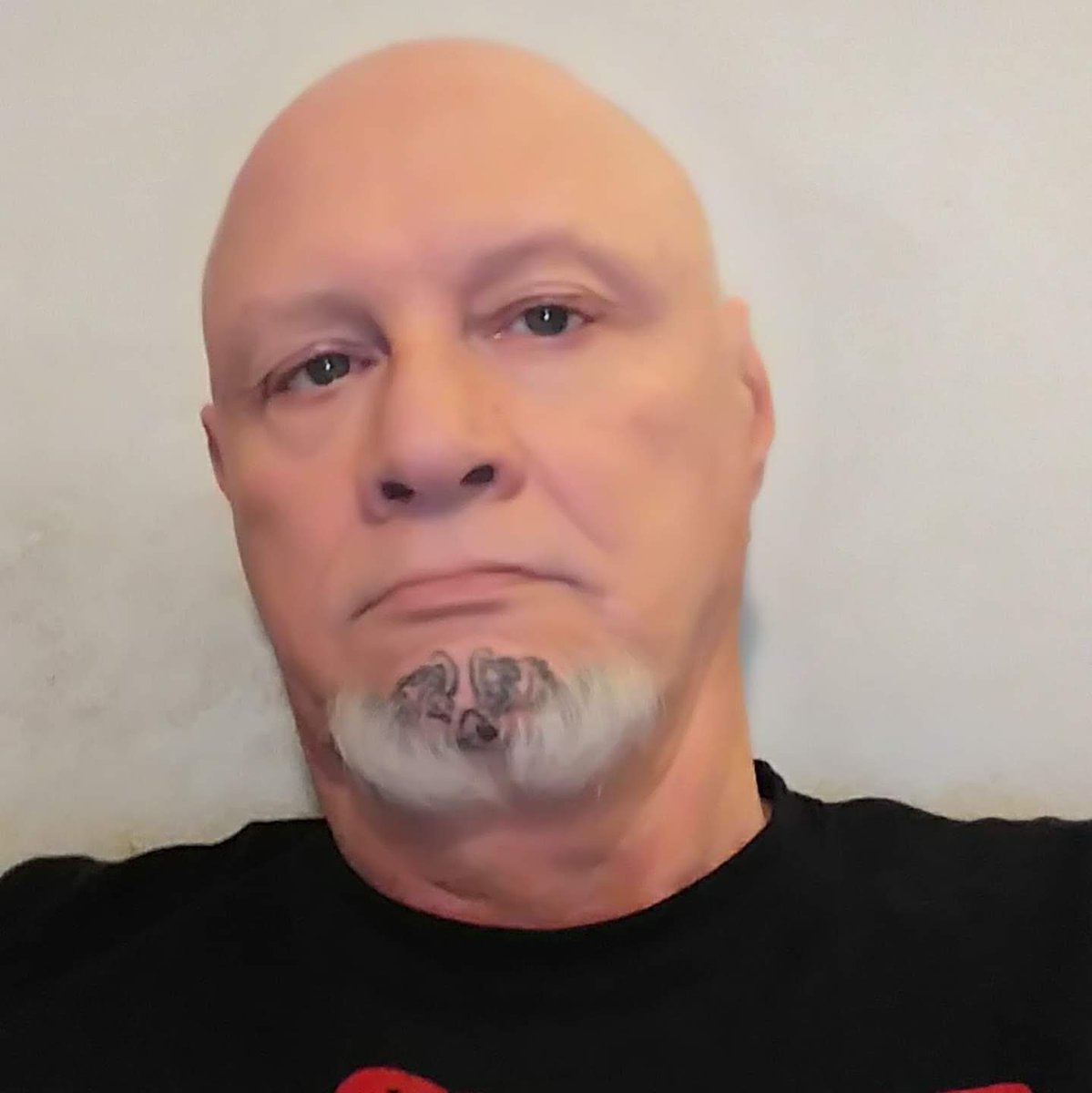 Bill Birge (@BirgeBill) / Posts / X