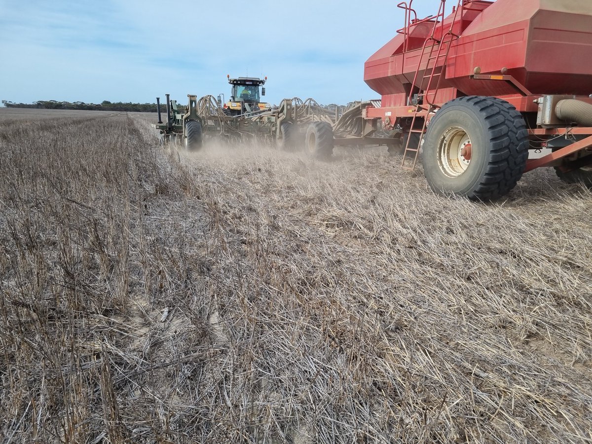 Starting some bolt lentils in scaddan <a href="/Karingal_Co/">Brad Campbell</a>