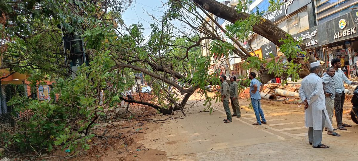 Stay safe, Bengaluru! With close to 271 trees uprooted and numerous branches down, please exercise caution driving & parking in these heavy rains #BengaluruRains #Bengaluru
