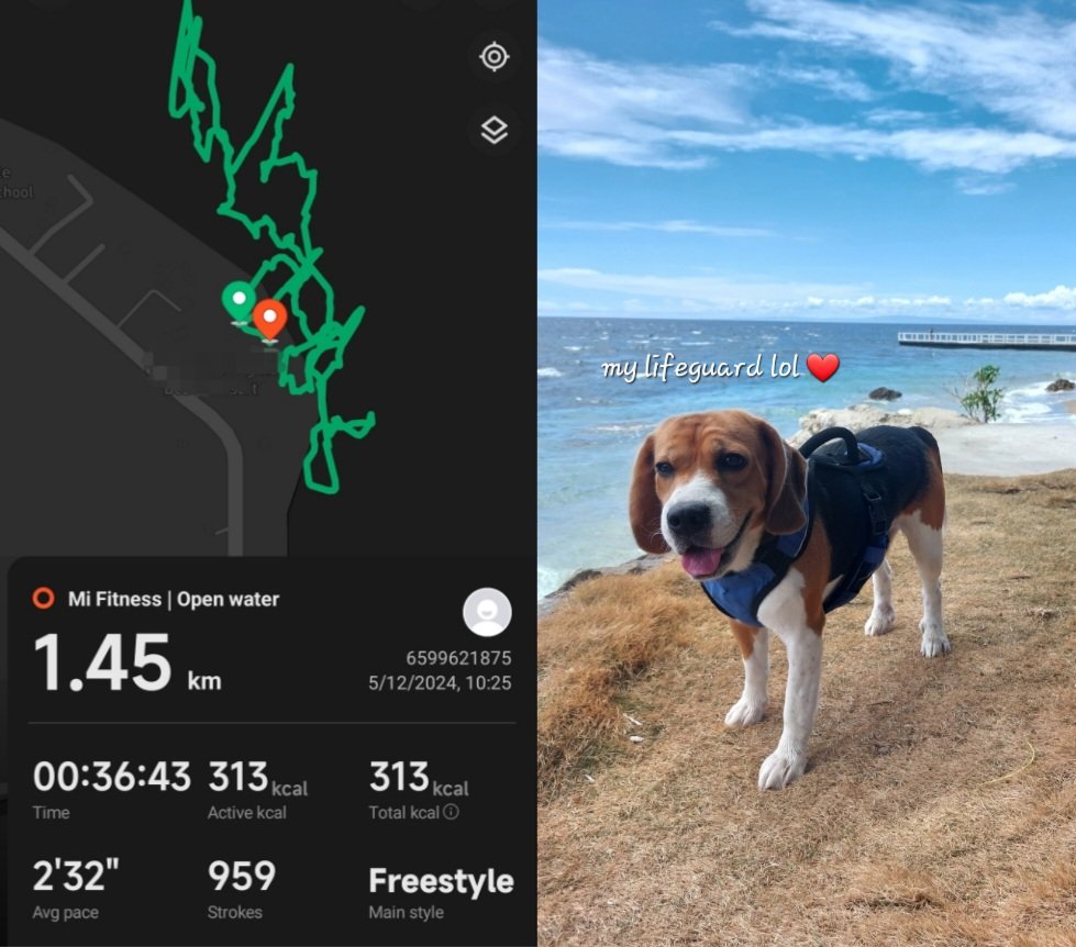 paolosmacasaet's tweet image. #activerest