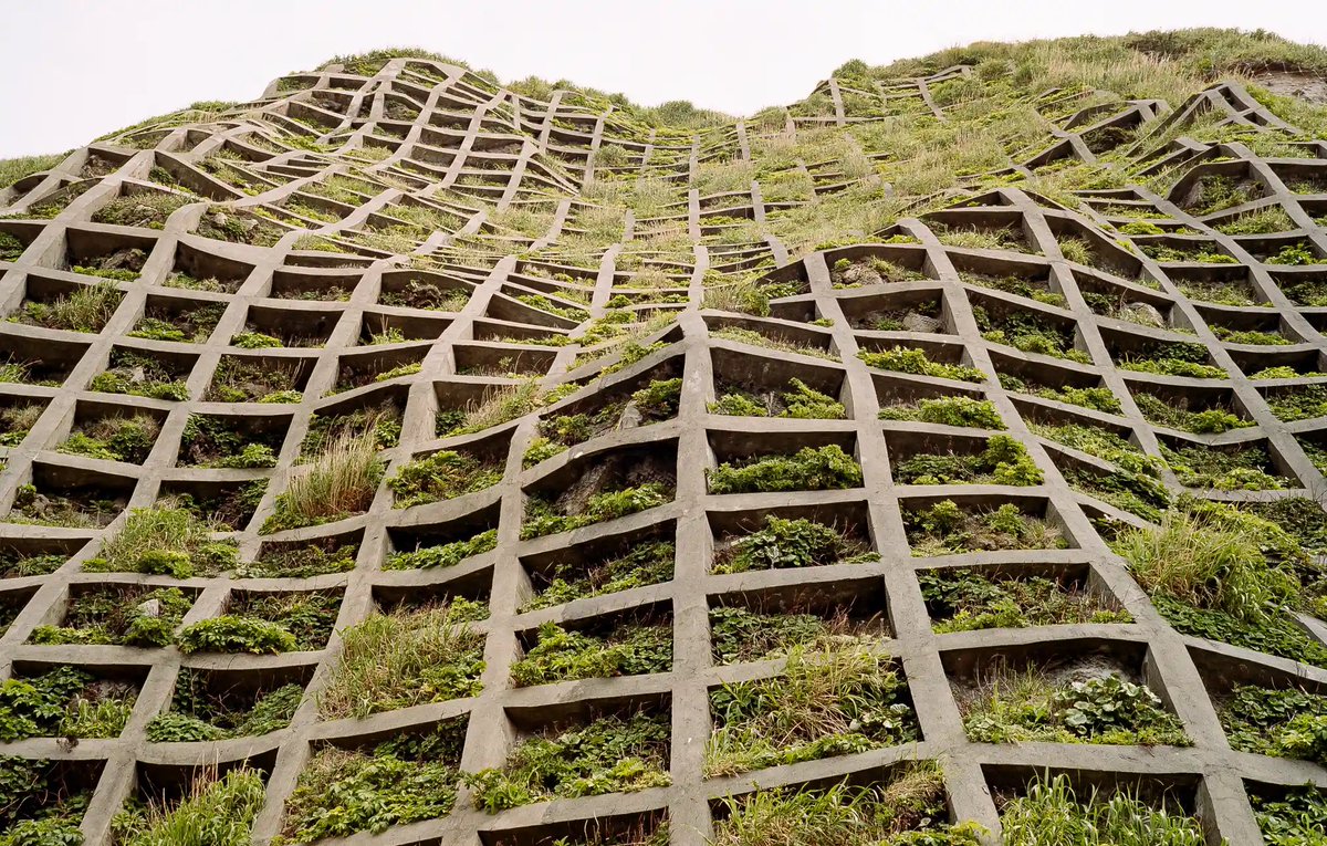 #Eco-#brutalism: when angular #concrete meets the wonder of #nature. On her #brutalistplants IG page, @Olivia_Broome collects photographs that combine the angular shapes of raw concrete with the greenery of the natural world. theguardian.com/artanddesign/g… #architecture #photography