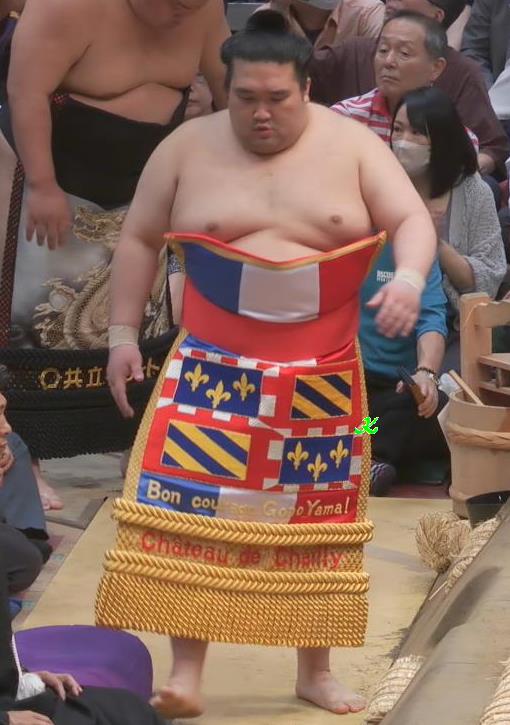 大相撲 力士 淀川 刺繍 化粧まわし まわし 大相撲化粧まわし 大相撲 力士 淀川 刺繍 化粧まわし まわし 大相撲化粧まわし
