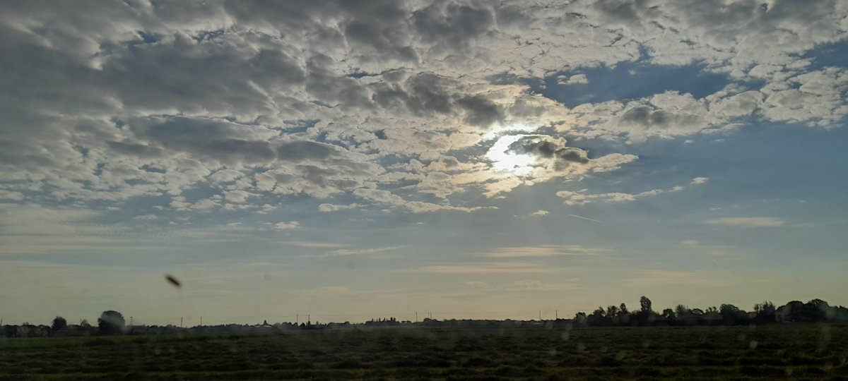 Le nuvole
sparse
hanno polpe
mature 
Cesare Pavese
#ComeNuvoleNellAria 
#VentagliDiParole mia 📷