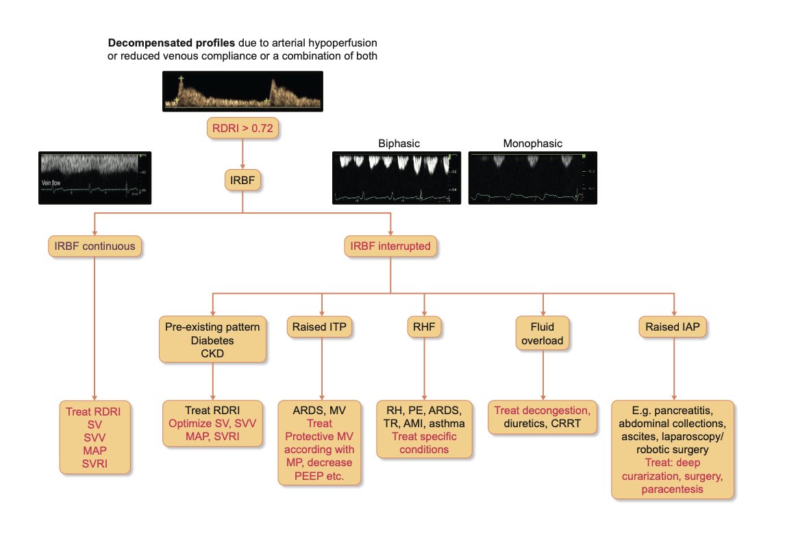 🔍 'Kidney Doppler Ultrasonography: A Game-Changer in ICU 🏥. CPWD-US is vital for quick, non-invasive AKI diagnosis, supporting interventions. A new flowchart offers guidance on using POC-US effectively. 📈 Read more:doi.org/10.1093/ndt/gf… @EraEdta @francescorradi @DrMaxBell
