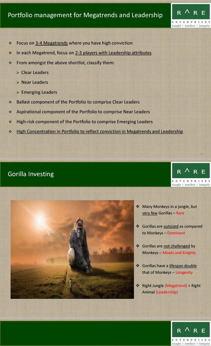 Megatrends+ Gorilla investment