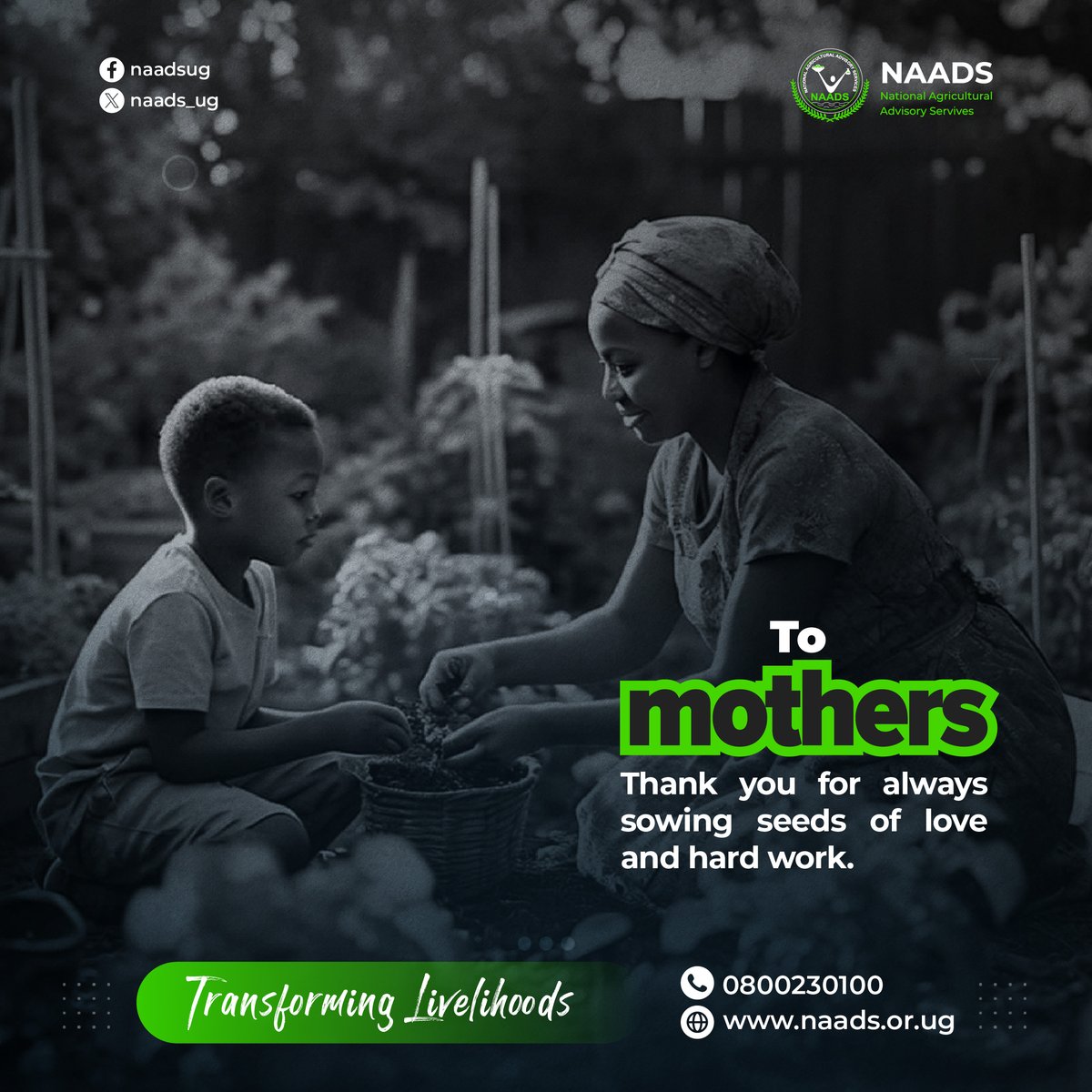 In the fields and in our hearts, mothers are the true gardeners of life. Wishing all the mothers a Happy Mother's Day. #MothersDay | #motherhood | #mothersday2024 #transforminglivelihoods | #NAADS