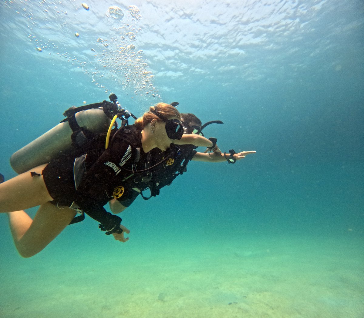 If you have not dived for a while and are considering taking some dives when you visit Koh Tao, a Scuba Review is a great way to refresh your diving skills and spend more time having fun when diving. blackturtledive.com/padi-diving-co… #kohtao #review #lifestyle #padi