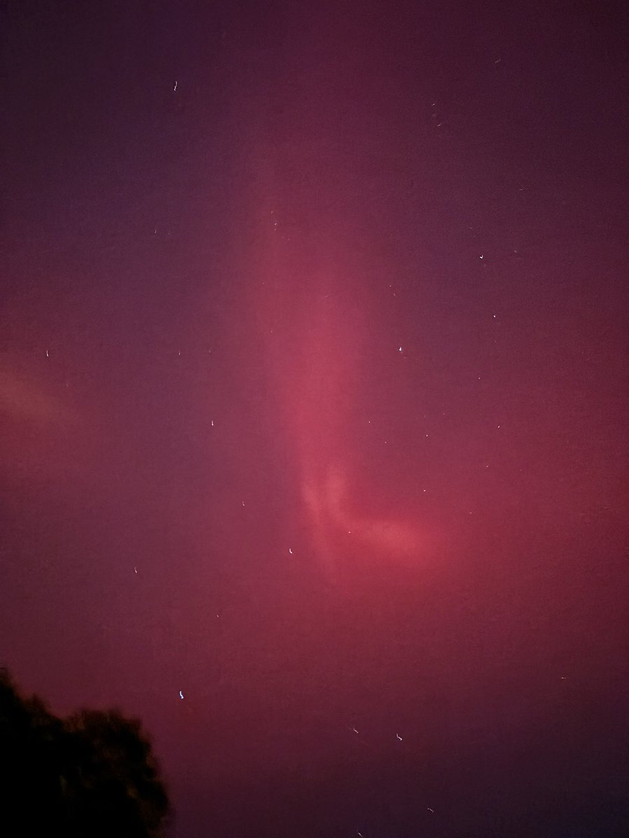 Kris Parker tweet media