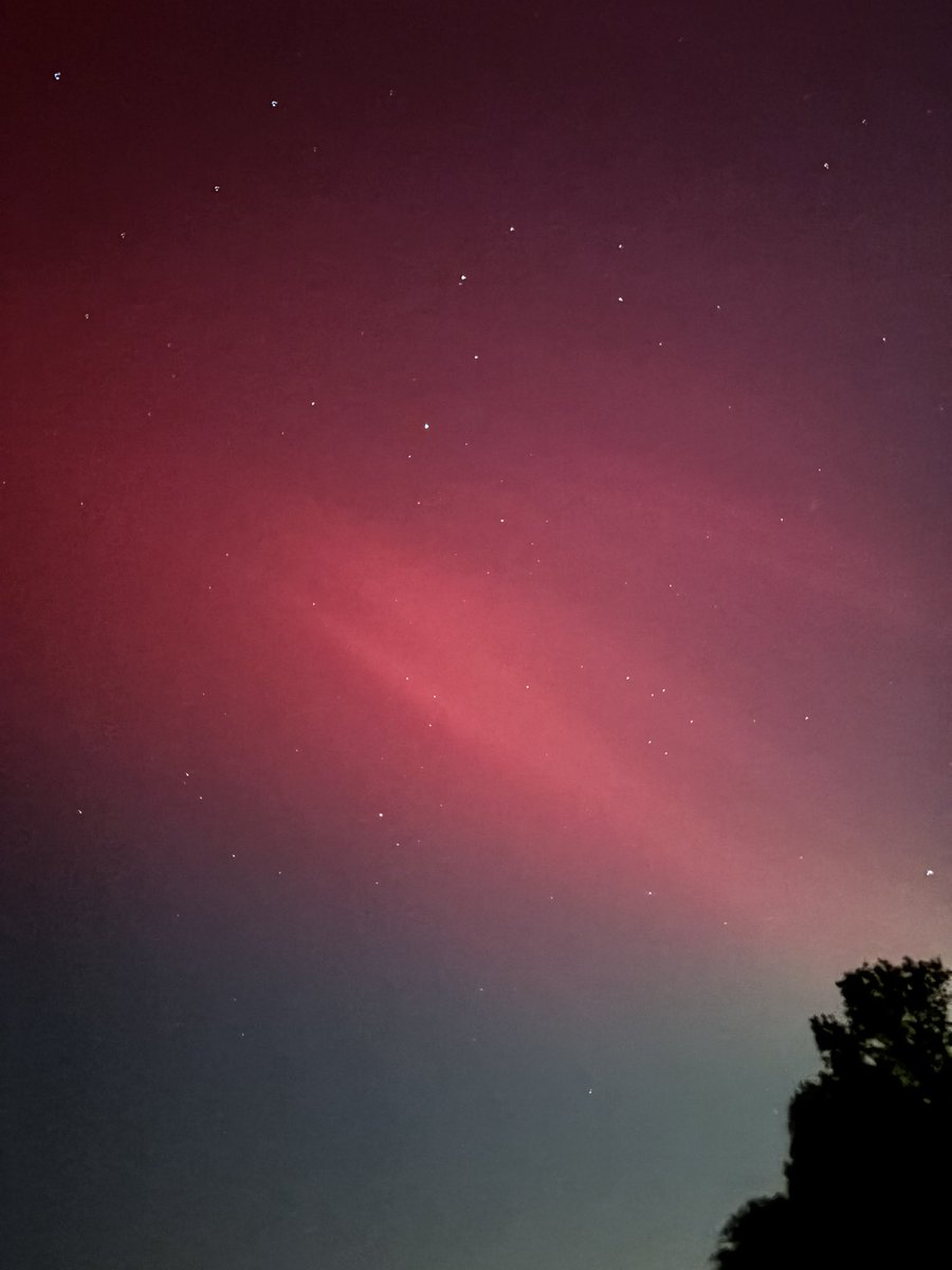 Kris Parker tweet media