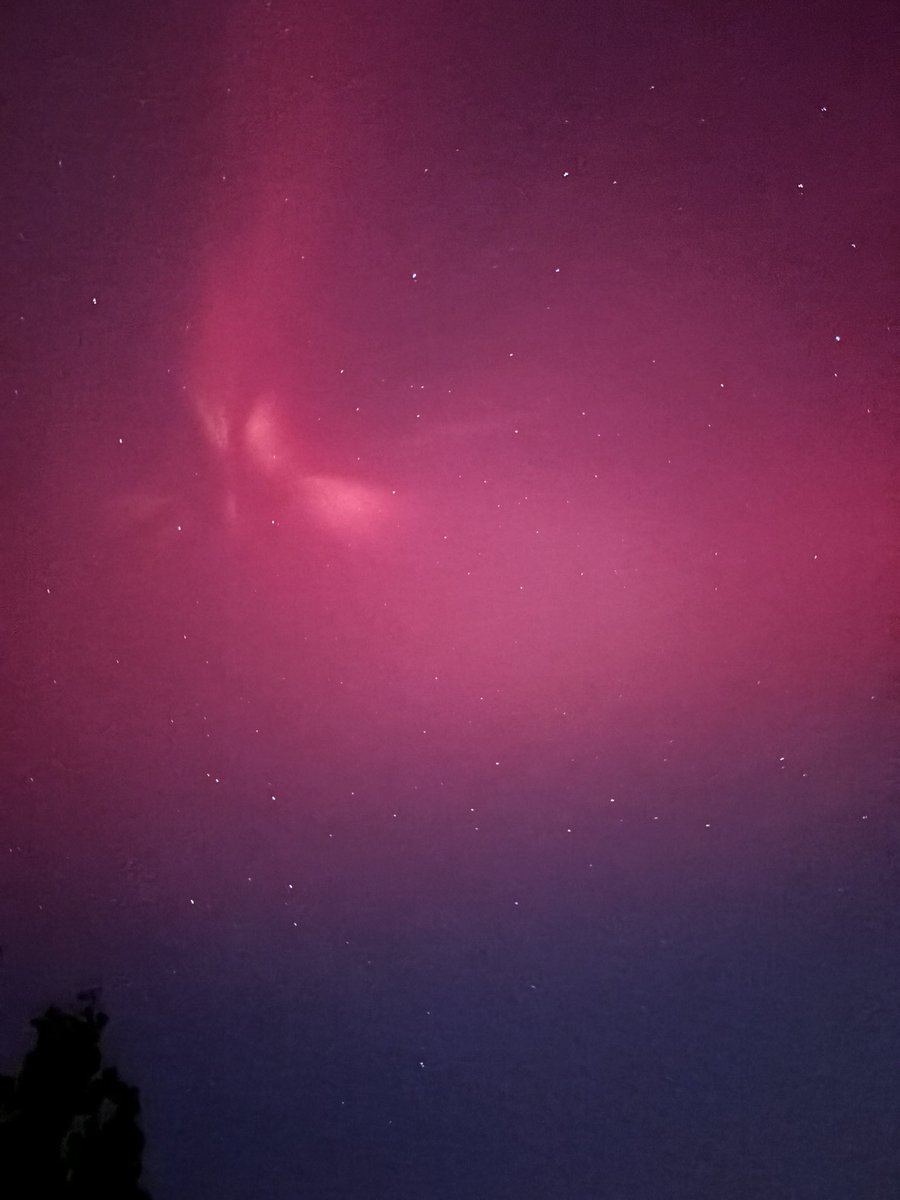 Kris Parker tweet media