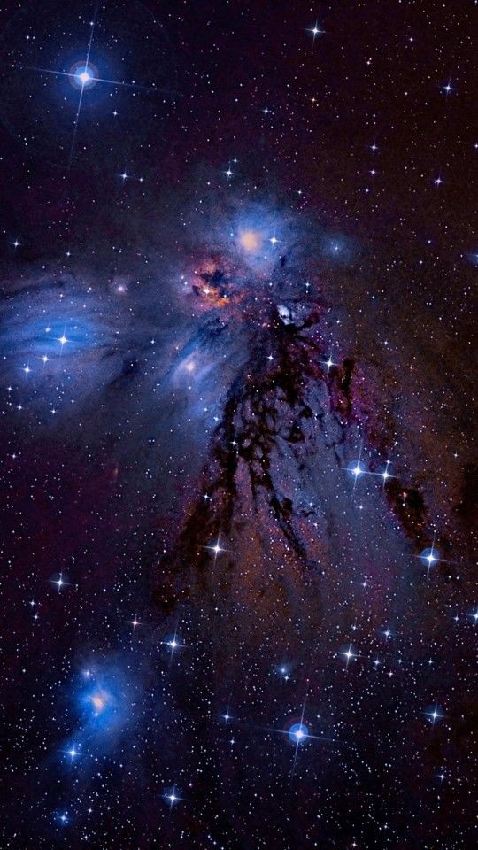 📷 NGC 2170, Angel Nebula tmblr.co/ZLB4bwYZ2odnSa…