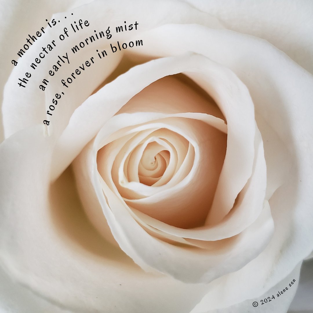Alene_Sen's tweet photo. happy mother's day! in memory of my mom, the #rose in heaven and on earth 

#mothersday #micropoetry #photopoetry https://t.co/FcA06qi7Fs