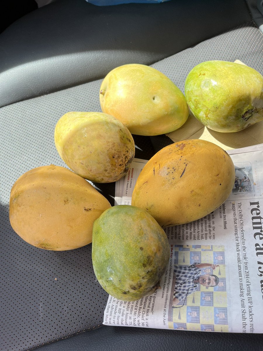 When you are on a highway you should know where to get off it for some seasonal surprises:
Five varieties of mangoes, sourced from East Coast Road orchards: bought for 120 bucks!

#vincentsjottings #ecrstories