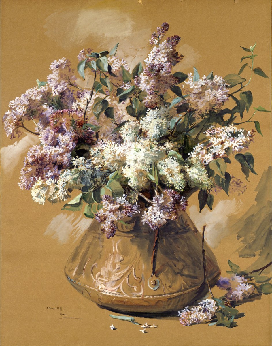 Lilacs, Elizabeth Nourse Poster
zazzle.com/lilacs_elizabe…
#zazzlemade #homedecoe #floral #lilacs #wallpaper #wallartforsale