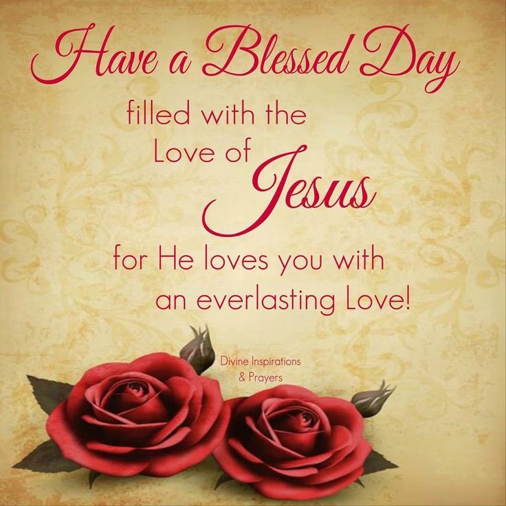 Wishing ~ Everyone a blessed and happy ~ Sunday! God bless you! 🙏🏼♥️🌺♥️🌺♥️🌺