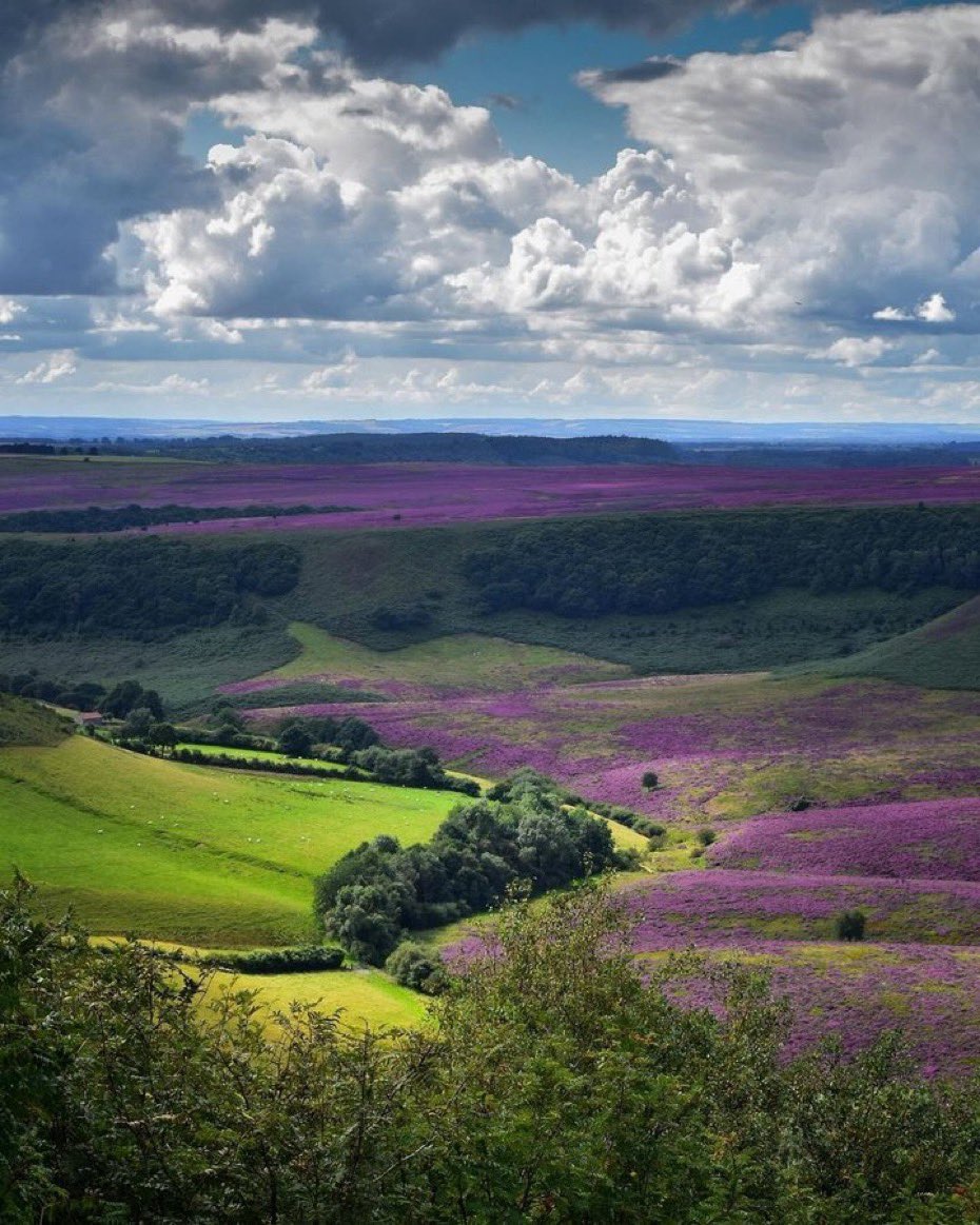 Good morning you lovely lot ♥️ Happy Sunday everybody, I hope you all have a fantastic day whatever your plans are. 😊😊😊😊😊😊😊😊😊😊😊 Pic - North Yorkshire Moors