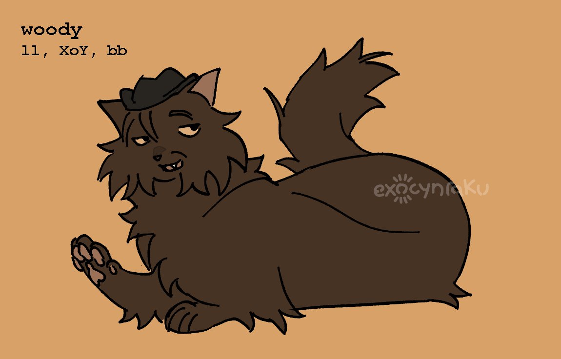 whitewater, kinkfur, wildfur, woodlouse, silver, woody

#warriorcats