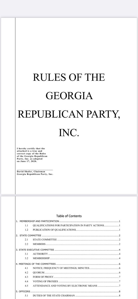 @gagop and @JoshMcKoon are supposed to be running a state political party under GA Election Code, Chapter 2, Article 3, as defined by GA Election Code 21-2-2(25). 

Certified rules adopted under Chapter 2 of the GA Election Code are supposed to be on file with the State Elections