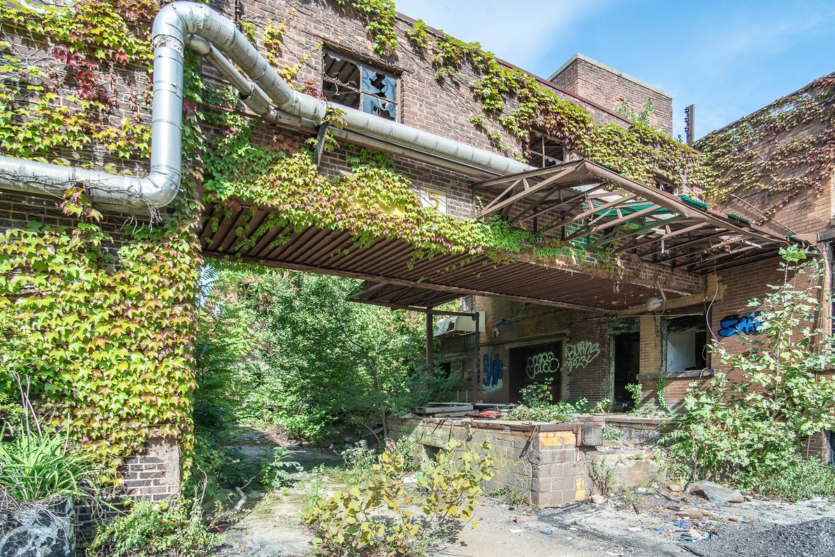 An abandoned and overgrown bakery facility in Cleveland, Ohio.
