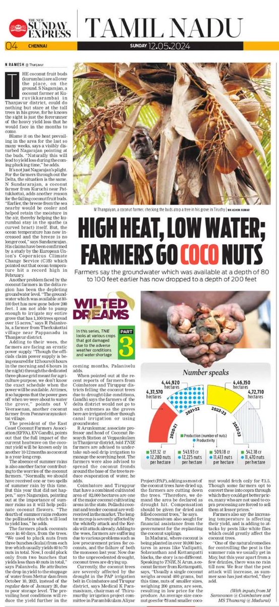 Rise in temperature, hot wind from the seas, and depleting groundwater levels have hit coconut farmers in #TamilNadu. #TNIE series on hapless farmers #WiltedDreams continues… ⁦@Ramesh_TNIE⁩ ⁦@xpresstn⁩ ⁦⁦@NewIndianXpress⁩ newindianexpress.com/states/tamil-n…