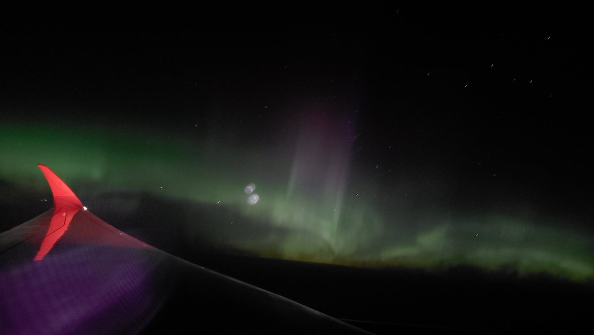 Dr. Tamitha Skov tweet media