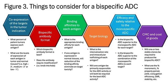 💊Bispecific ADCs: A potential next generation game changer ➡️Bispecific ADCs in clinical development, issues to consider for a bispecific ADC 👇 ✅A very nice post by @DrDowdyJackson 👉 jackson-consulting-group.com/post/bispecifi… @PTarantinoMD @ErulEnes @ASPET @MAPS_ASPET #Cancer #Oncology…