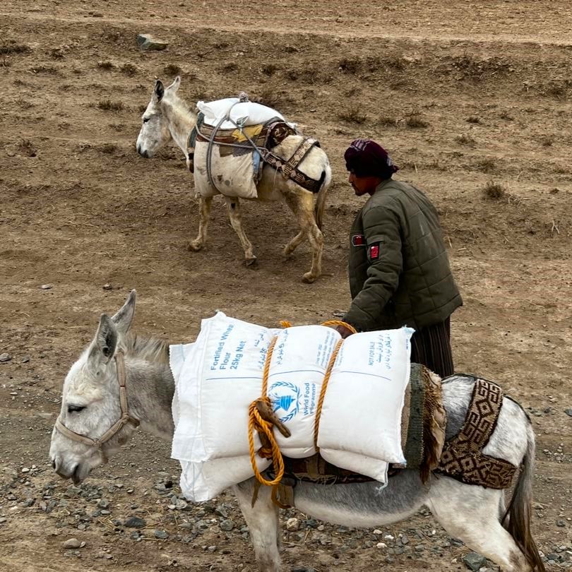 🔴Flood Update: Most of the affected areas in Baghlan, #Afghanistan is inaccessible by trucks. WFP had to resort to every alternative to get food to the survivors who lost everything.