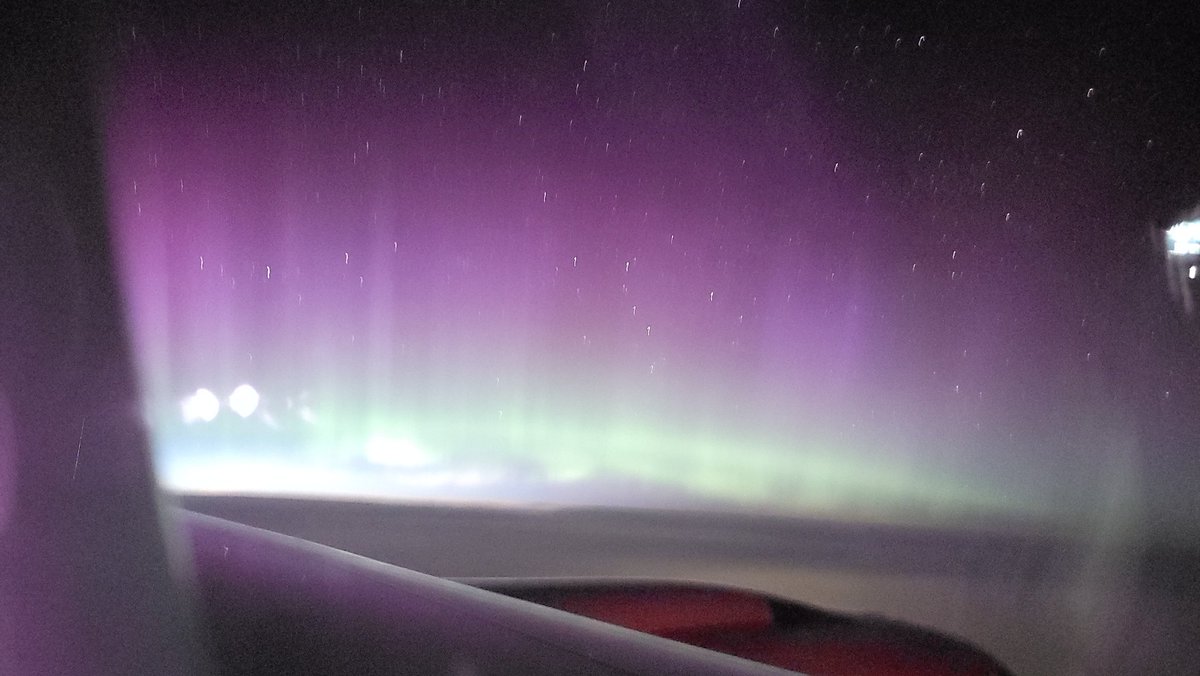 Dr. Tamitha Skov tweet media