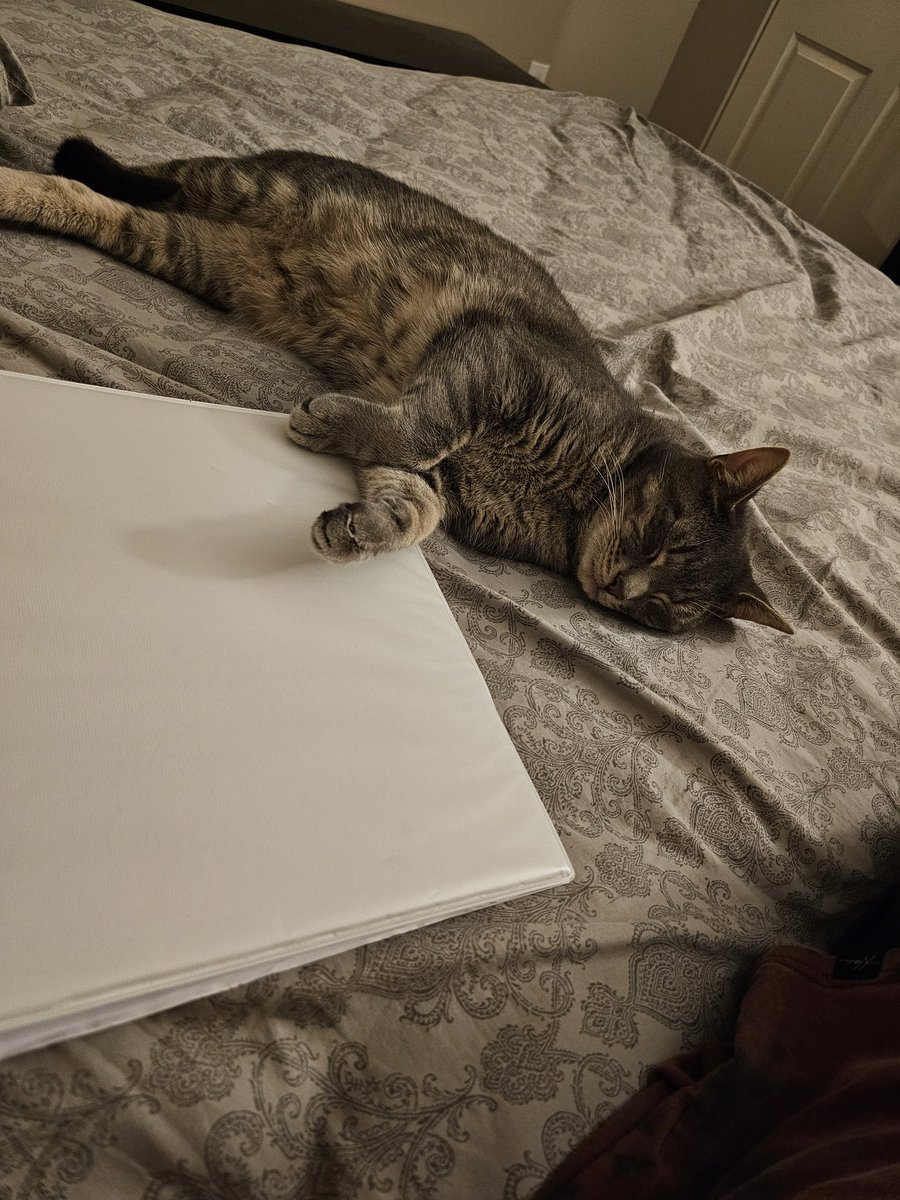 Hero stays up with me all night to practice music for the musical I'm in ^_^