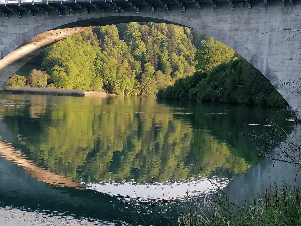 Das Auge. Ein Spiegel der Seele...