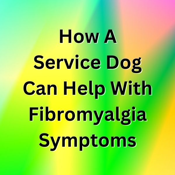 How A Service Dog Can Help With Fibromyalgia Symptoms
People with fibromyalgia can benefit from having a #ServiceDog because it can help them in many ways, both physically and emotionally. @ThomByxbe @FibroBloggers
buff.ly/3lBa2uW