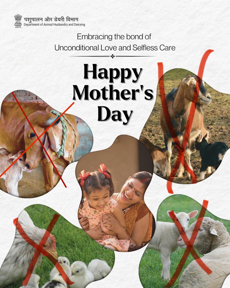 #happymotherday to #human Moms ONLY. Other Voiceless Moms are unable to tender their UNCONDITIONAL Love/Milk to their Kids because of #humans 👅 buds or #MilkProducts n other Selfish #HumanMenace