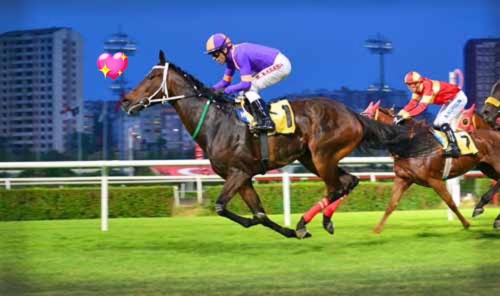 Tüm annelerin anneler gününü kutlarız  
#Prokopi ❤️ #Tonya 🌼 #Australia