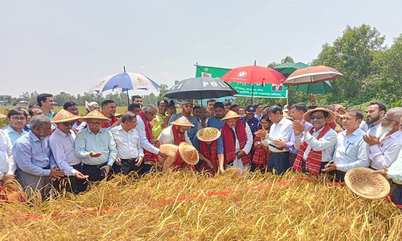 কৃষকদের উন্নয়নে সরকার কাজ করছে : কৃষিমন্ত্রী