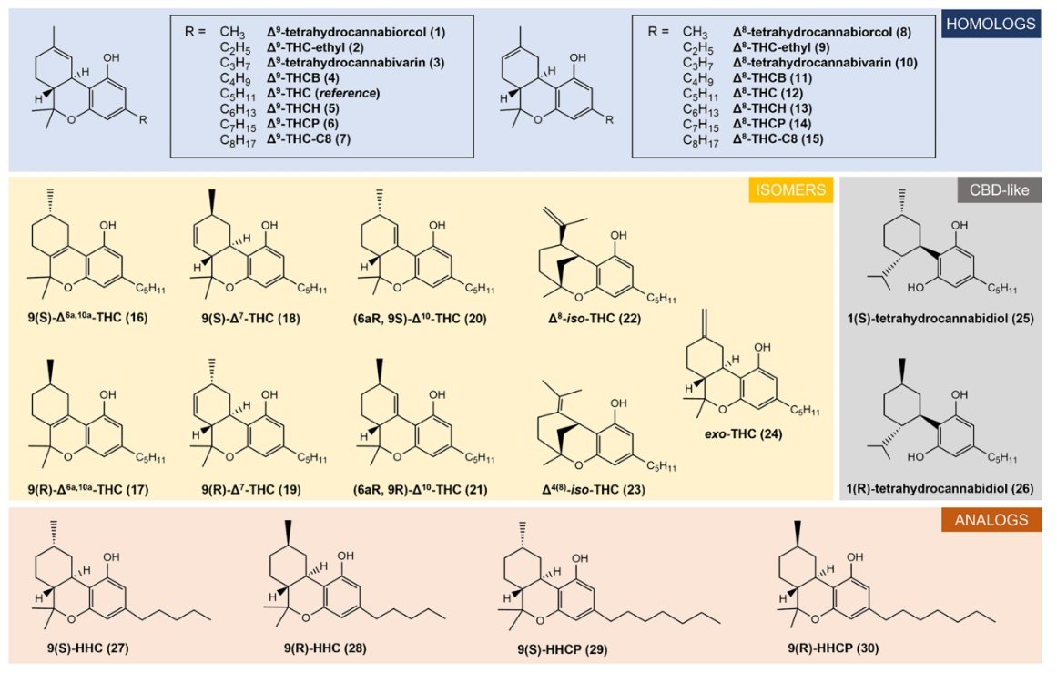 Liesl Janssens (@janssensliesl) on Twitter photo 📢 Publication alert for a comparative analysis of 30 hemp-derived and/or #semisynthetic cannabinoids vs. d9-THC: looking into the potential for abuse and investigating seized drug products
🔍 Now published online
doi.org/10.1007/s00204…
🙏🏼<a href="/Cayman_Forensic/">Cayman Chemical</a>
🙏🏼<a href="/christophestove/">Christophe Stove</a> 📢 Publication alert for a comparative analysis of 30 hemp-derived and/or #semisynthetic cannabinoids vs. d9-THC: looking into the potential for abuse and investigating seized drug products
🔍 Now published online
doi.org/10.1007/s00204…
🙏🏼<a href="/Cayman_Forensic/">Cayman Chemical</a>
🙏🏼<a href="/christophestove/">Christophe Stove</a>