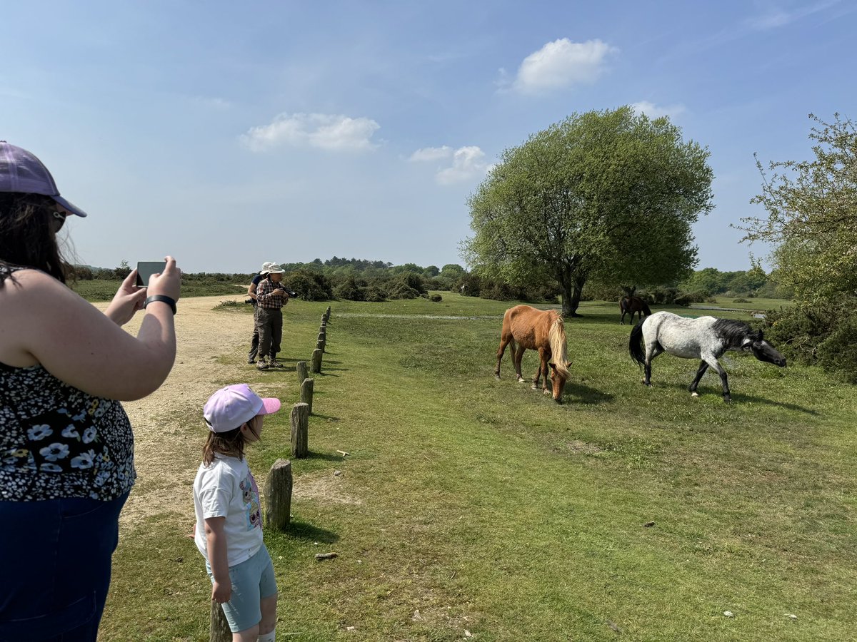 drchrisrobus's tweet image. Amazing time in the New Forest this weekend, beautiful scenery and so interesting to see wild horses and cattle in such abundance. So nice to step away from the day-to-day for a bit and make some memories.