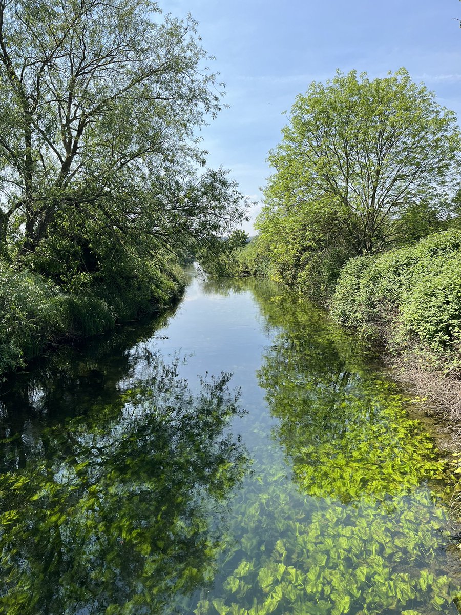 Mid-morning cycle, Walthamstow Wetlands 🚲