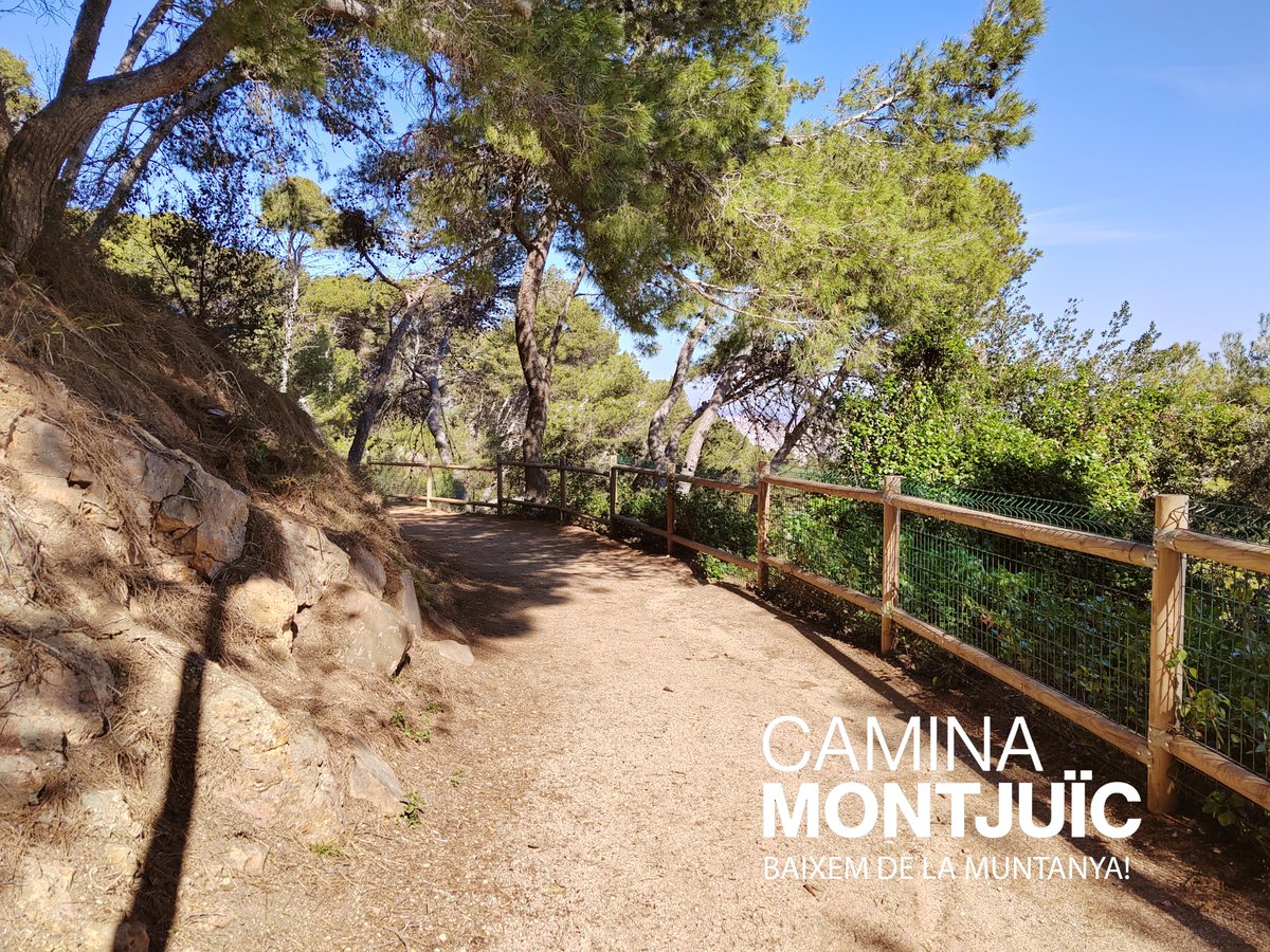 🚶🏽 Els diumenges a les 18 h, #CaminaMontjuïc! 🆓 Des del #CastellMontjuïc fins a la #FontMàgica, t'apuntes a una passejada multitemàtica pels jardins i monuments del Parc de #Montjuïc? ⛰️ ja.cat/CaminaMontjuic