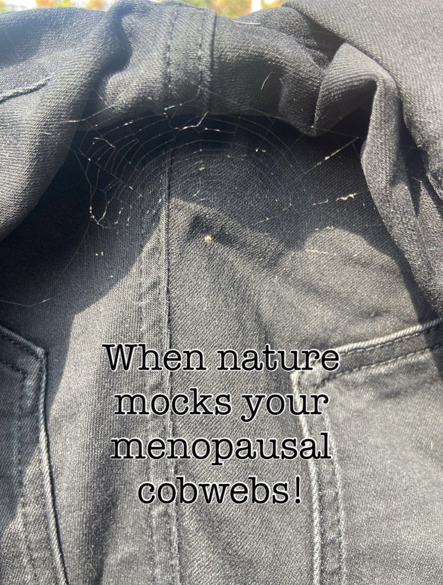 Went outside to bring my washing in. A spider has spun a web in the crotch of my jeans. Now if that’s not a metaphor for the menopause, I don’t know what is? Menopausal woman, mocked by nature 😂 #menopause