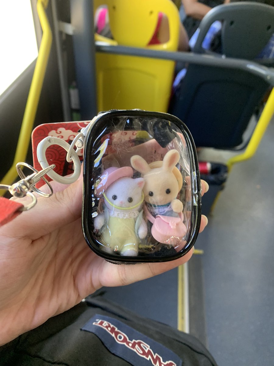 nem os sylvanian estao livres do transporte publico