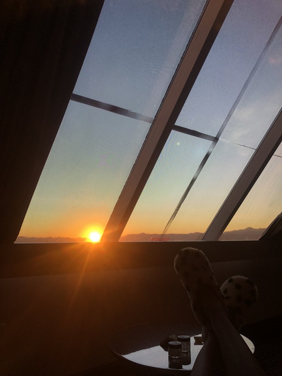 ✨✨✨✨✨✨✨✨