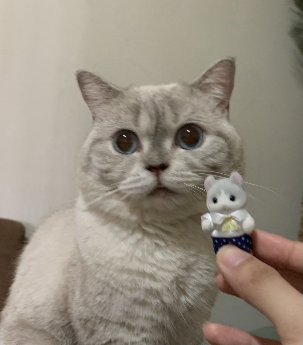 me and my favorite children (dont tell the others)